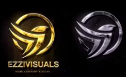 Videohive Silver & Gold Logo Reveal 2