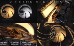 Videohive Epic Gold And Silver Logo Reveal