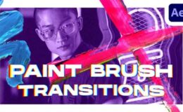 Videohive Paint Brush Transitions Vol. 1
