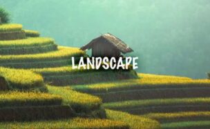 Psdbox Landscape Creative LUT Presets