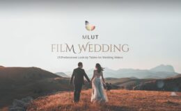 25 Professional LUT Pack - MLUT Film Wedding