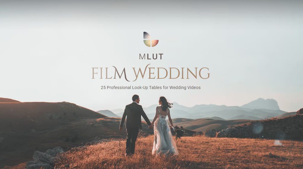 25 Professional LUT Pack - MLUT Film Wedding preview