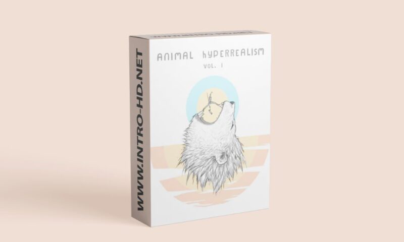Mattia Cellotto Animal Hyperrealism Vol I