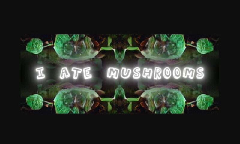 Aescriprs I Ate Mushrooms v1.5.4