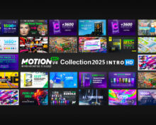 Motion Bro 4 Packs Collection 2025 Updates