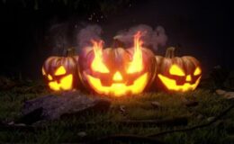 Videohive Halloween Logo Reveal 48221991