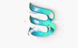 Videohive Logo Animation 48915672