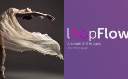 Aescripts loopFlow v1.3.3 Free Download