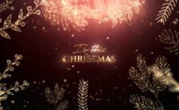 Videohive Christmas Greetings 42303905