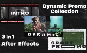 Videohive Dynamic Promo Collection