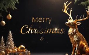 Videohive Elegant Merry Christmas and New Year Wishes 3D slideshow