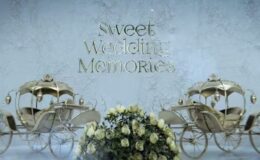 Videohive Sweet Wedding Memories