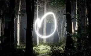 Videohive Light In The Forest