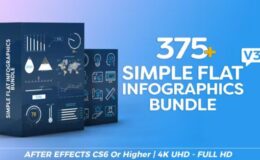 Download Simple Flat Infographics Bundle Videohive
