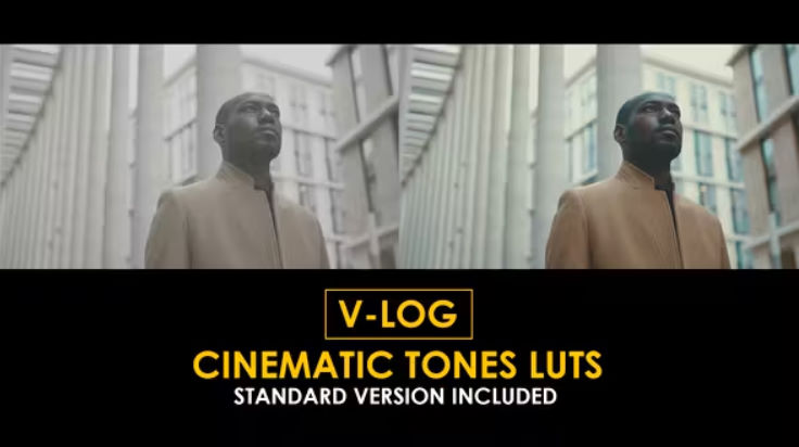 Videohive V-Log Cinematic Tones and Standard Color LUTs