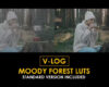 Videohive V-Log Moody Forest and Standard LUTs