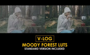 Videohive V-Log Moody Forest and Standard LUTs