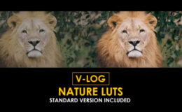 Videohive V-Log Nature and Standard LUTs