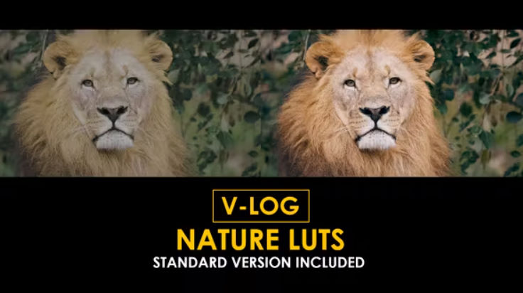 Videohive V-Log Nature and Standard LUTs