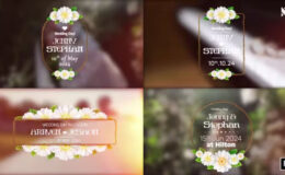 Videohive Wedding title V.01 - Premiere Pro