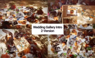 Videohive Wedding Gallery Intro
