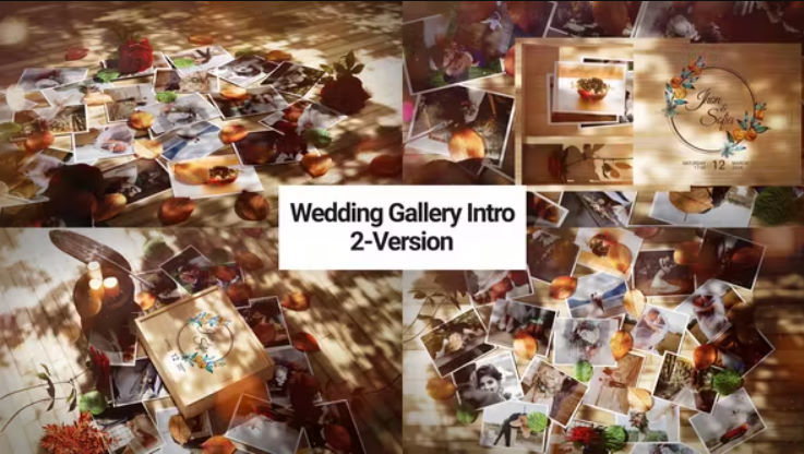 Videohive Wedding Gallery Intro