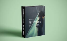 Colorist Foundry FilmVerse Full Plugin