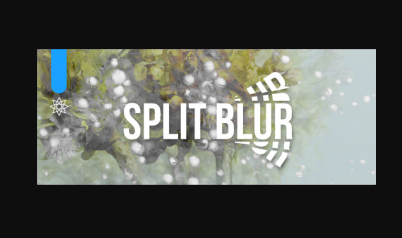 Aescripts Split Blur v1.3.2 Win/Mac