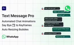 Videohive WhatsApp Text Message Pro