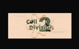 Aescripts Cell Division 2 v1.0.0