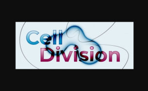 Aescripts Cell Division V1.3