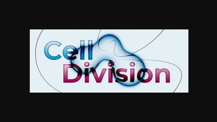 Aescripts Cell Division V1.3