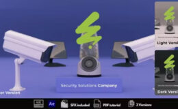 Videohive Security Solutions Company