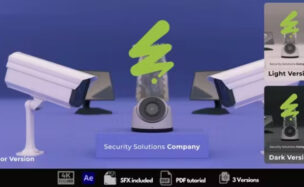 Videohive Security Solutions Company