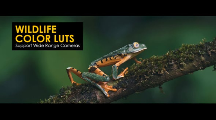 Videohive Wildlife LUTs