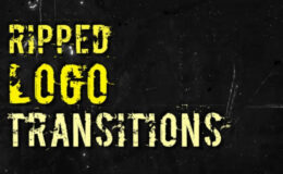 Videohive Ripped Logo Transitions