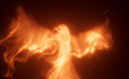 Videohive Fire Phoenix Reveal