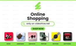 Videohive Online Shopping Store