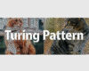 Aescripts Turing Pattern v1.1 Win