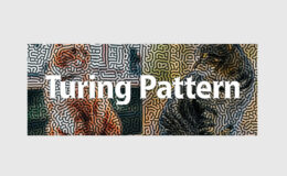 Aescripts Turing Pattern v1.1 Win