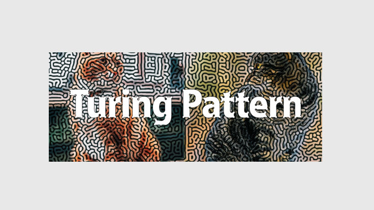 Aescripts Turing Pattern v1.1 Win