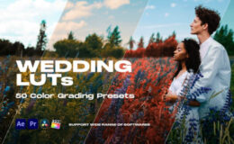 Videohive Colorify Wedding LUTs