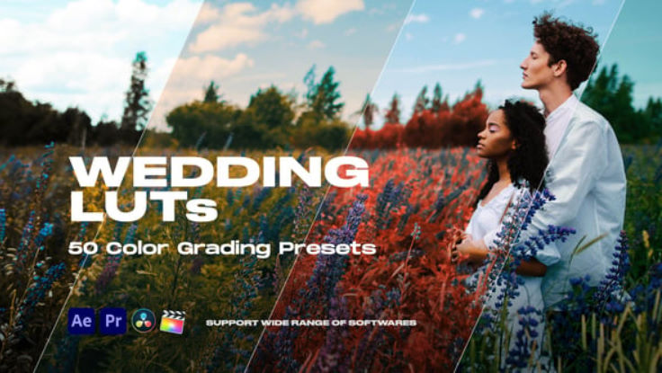 Videohive Colorify Wedding LUTs