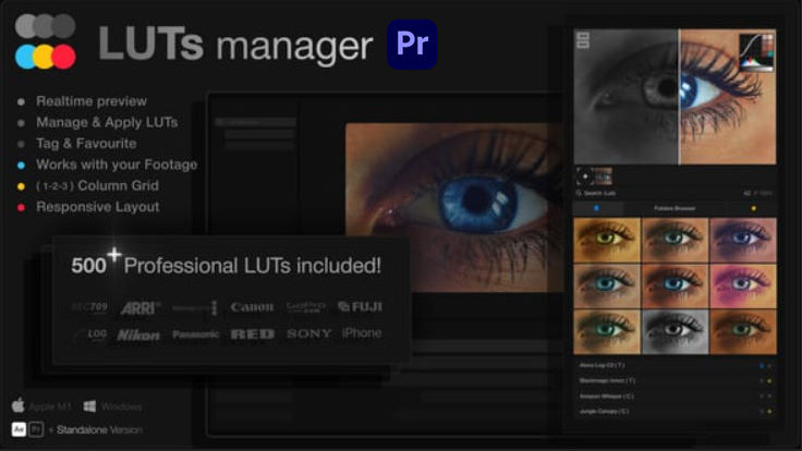 Videohive LUTs Manager: Preview LUTs In Real-time Tool & 500 Professional LUTs For Premiere Pro