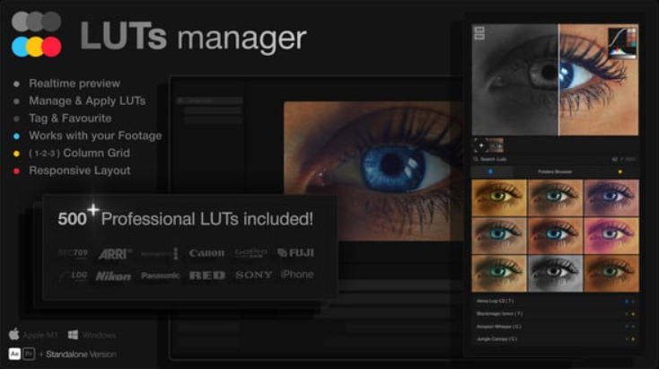 Videohive LUTs Manager: Real-Time Bulk Previews Tool & 500 LUTs