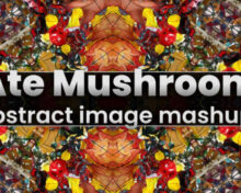 Aescripts I Ate Mushrooms v1.9.64 Free Download