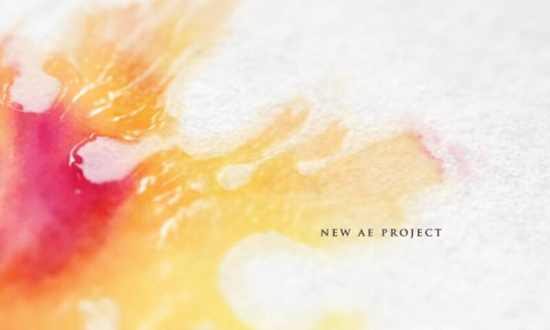 Download Ink Slideshow – Videohive