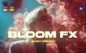 Videohive Bloom FX Overlay