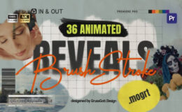 Brush Reveals Videohive