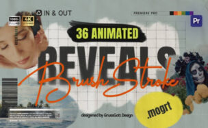 Brush Reveals Videohive